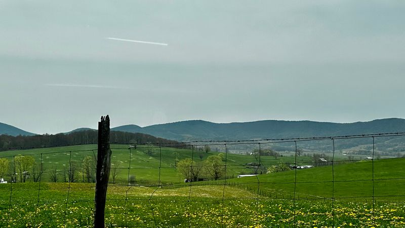 IMG 7893