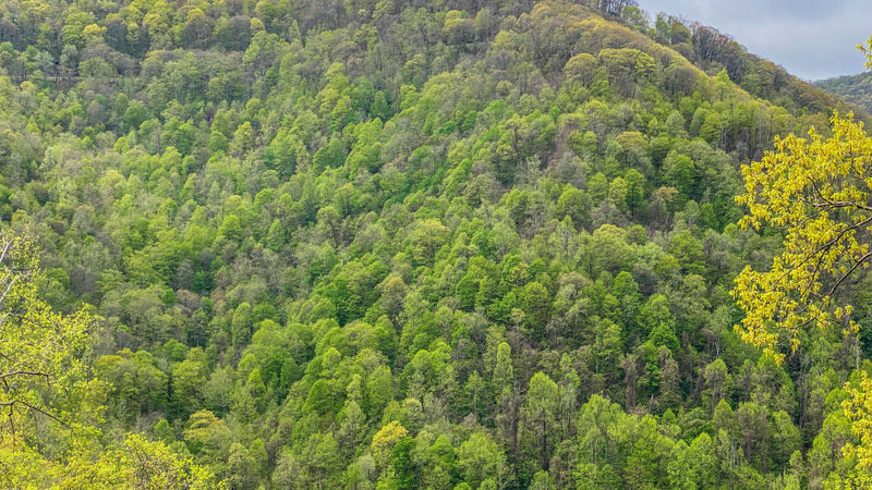 IMG 0454 2