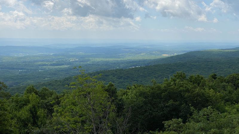 IMG 2742