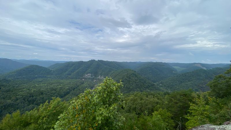 IMG 7929