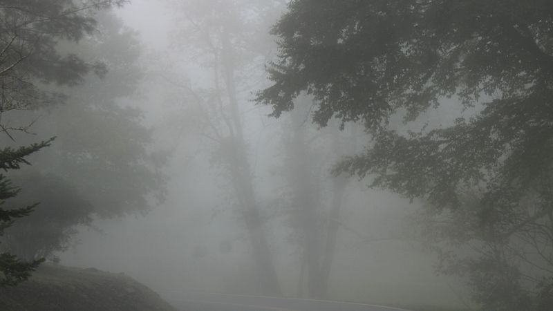 20200925224525 IMG 0775