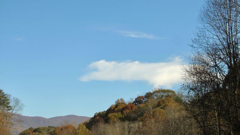 IMG 3799