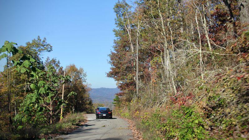 IMG 3885