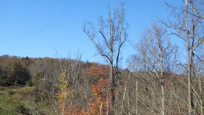 IMG 3894
