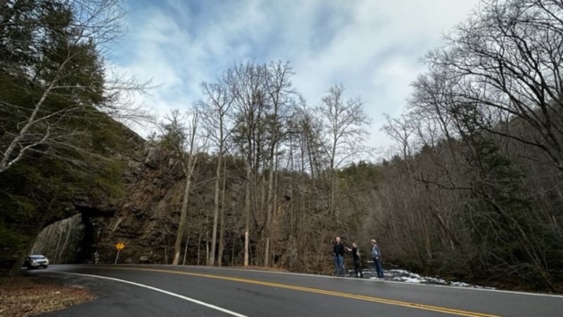 IMG 5694