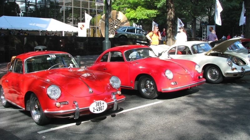 356 Paddock Area A