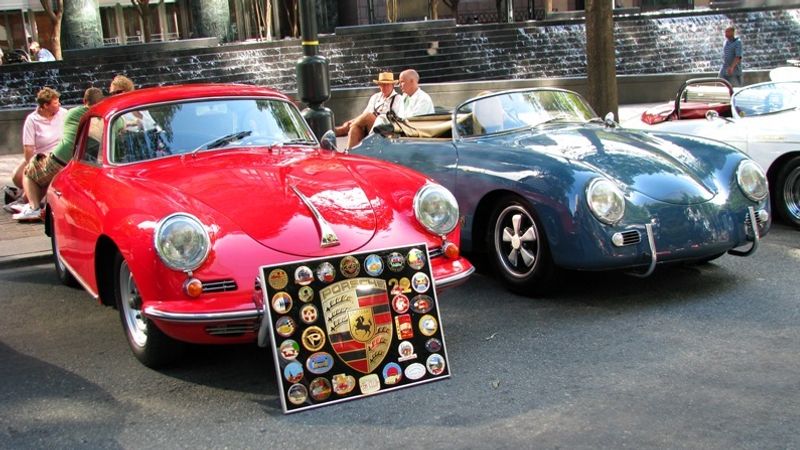 356 Paddock Area B