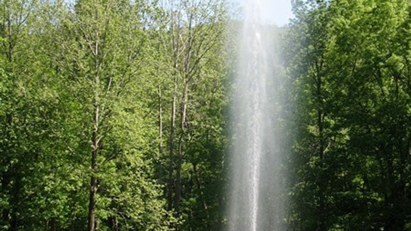 IMG 0040
