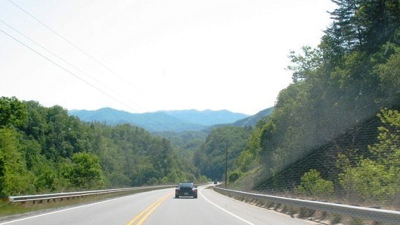IMG 0053
