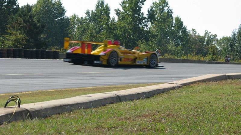 IMG 3142