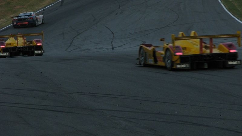 IMG 3175