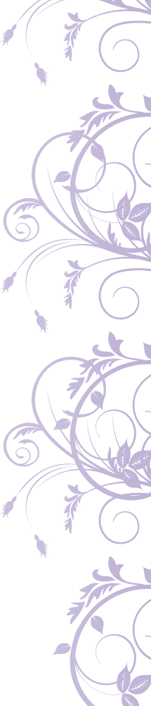 Bellasia img