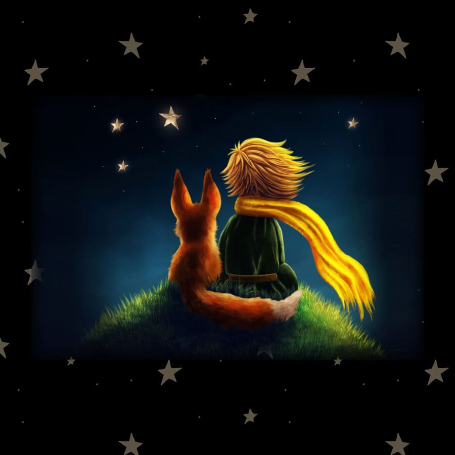 Principito, personaje, animación, flor roja, amistad, estrellas, fantasía