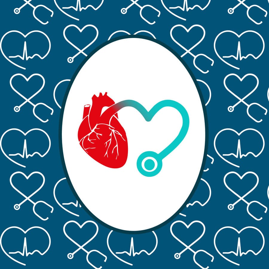Corazón, cardiología, estetoscopio, cardio