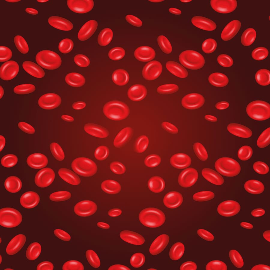 Hematología