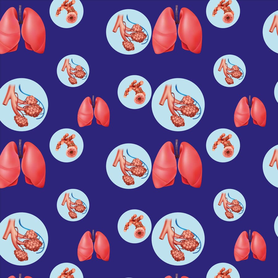 Neumología, pulmones, sistema respiratorio, círculos