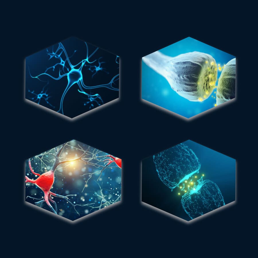 Neurología y Neurocirugía