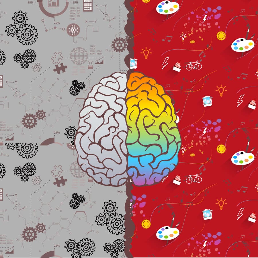 Cerebro, hemisferios cerebrales, creatividad, pasiones, lógica, números