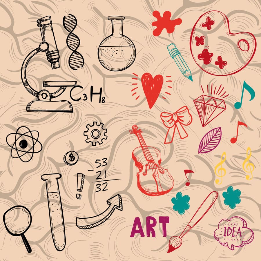 Cerebro, sesos, creatividad, ciencia, neurología