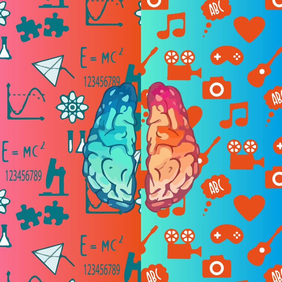 Cerebro, sesos, creatividad, ciencia, neurología