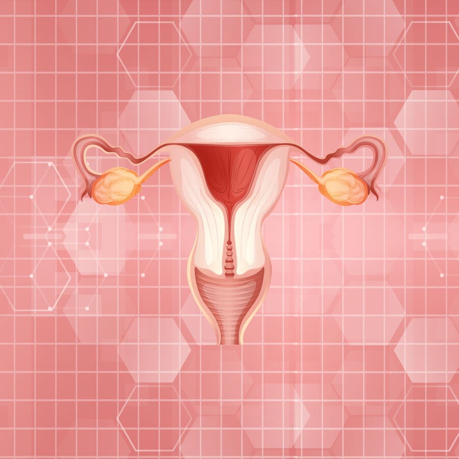 Útero, pastillas anticonceptivas, prueba de embarazo, espermatozoide, óvulos, radiografía, ADN