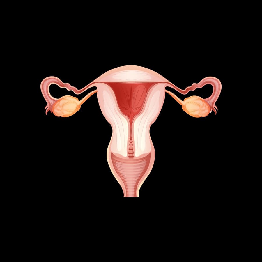 Ginecología y Obstetricia
