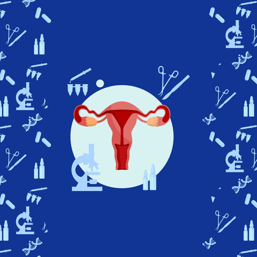 Crecimiento, bebé, óvulo, fecundación, ginecología, obstetricia, proceso, evolución