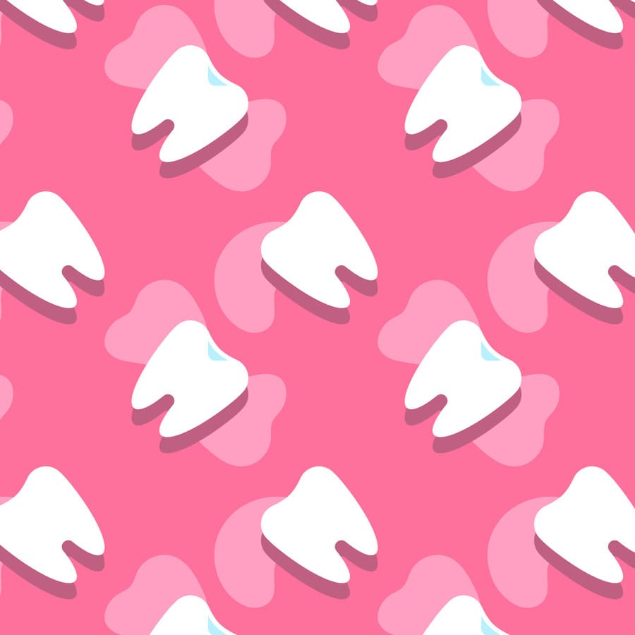 Odontología, molares grandes, sanos y fuertes