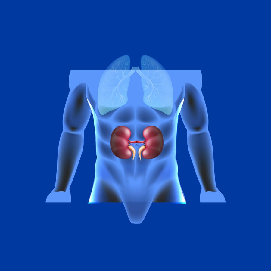 Urología