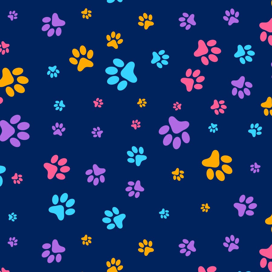 Veterinaria, huellas caninas, azul, amarilla, morada