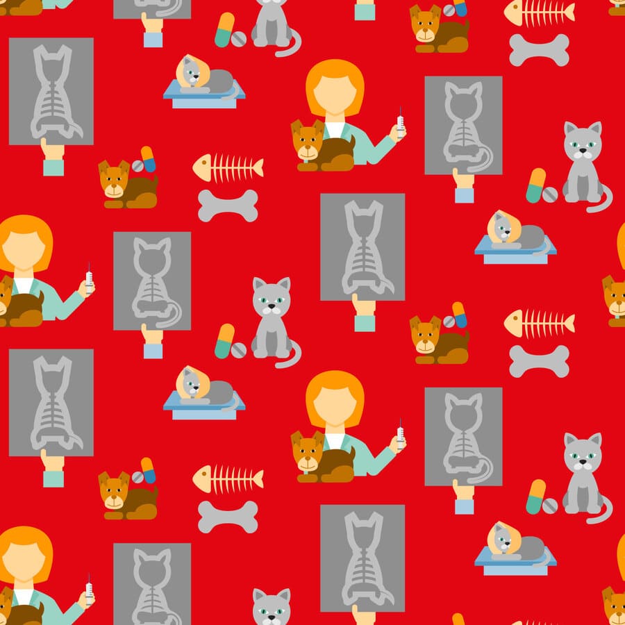 Veterinaria, animales, gato, perro, mediciones, radiografías, veterinaria, huesos de perros