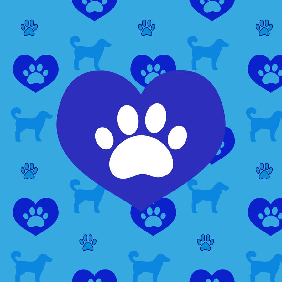 Veterinaria, huellas caninas, corazón azul, perro, siluetas