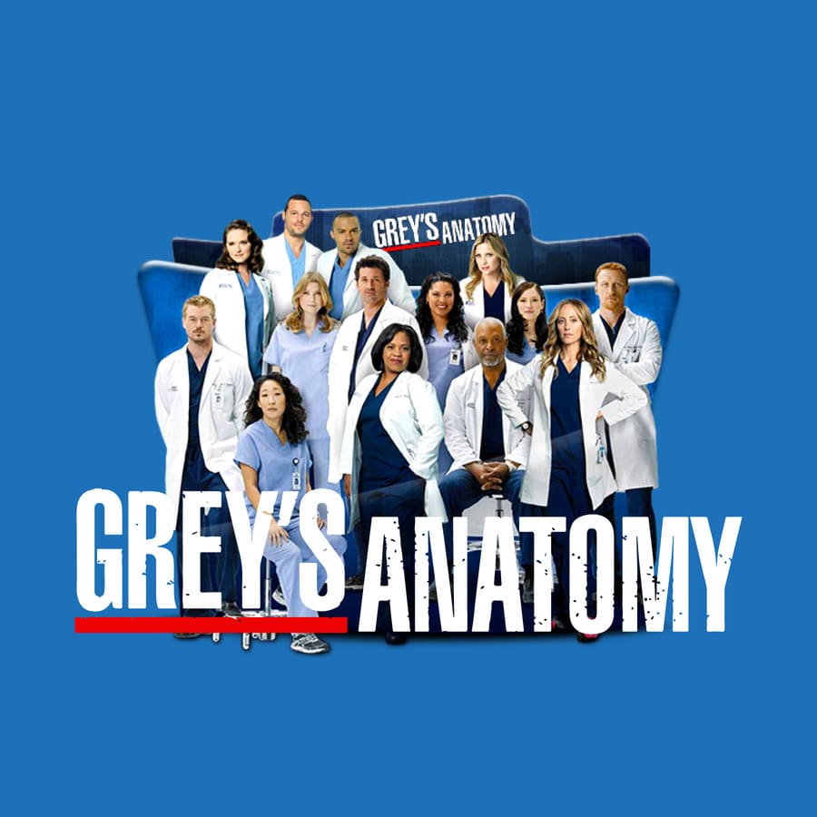 Grey Anatomy, amistades, Derek, Cristina, Meredith, Alex.