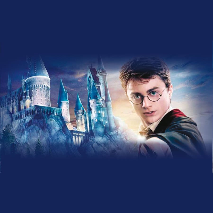 Harry Potter, castillo, varita mágica, personaje, versión real.