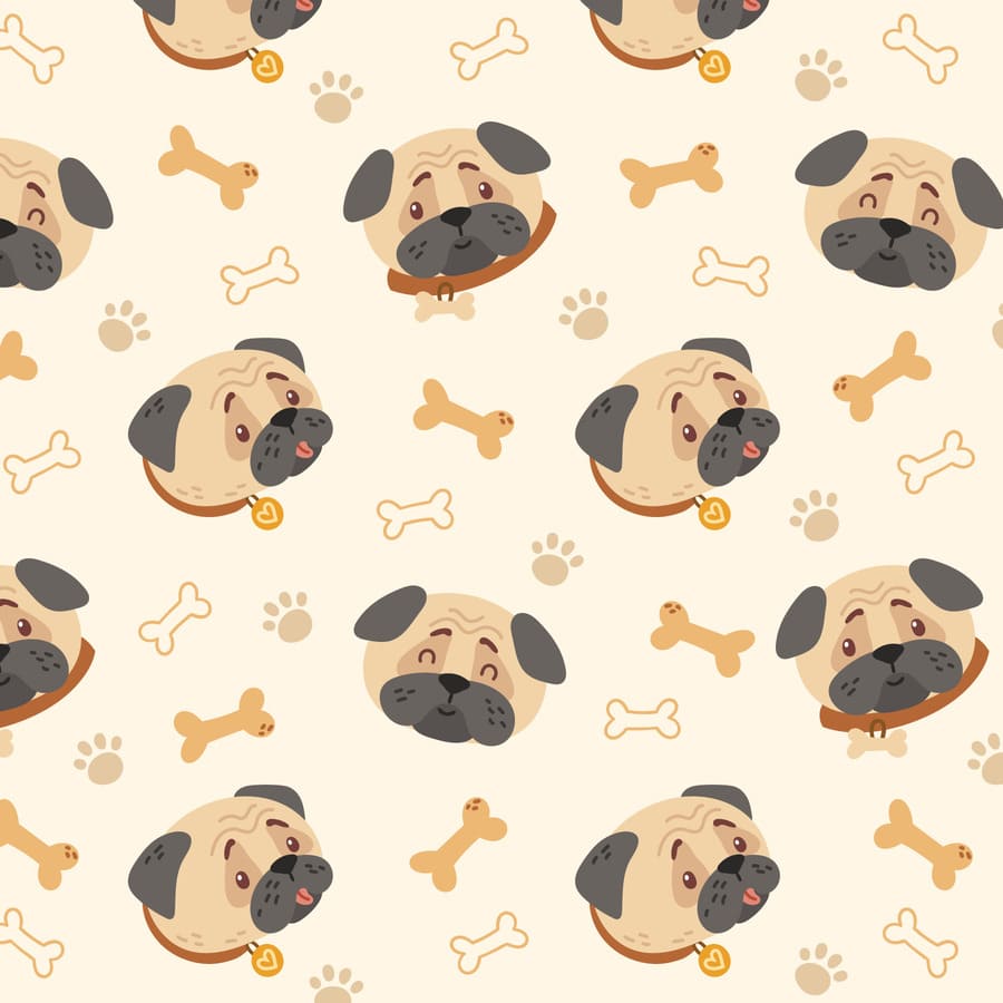 Animales, perro, huesos, huellas, collar, felicidad, dulzura, amor.