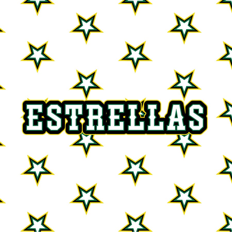 Beisbol dominicano, Estrellas Orientales, pelota, cultura, deporte.