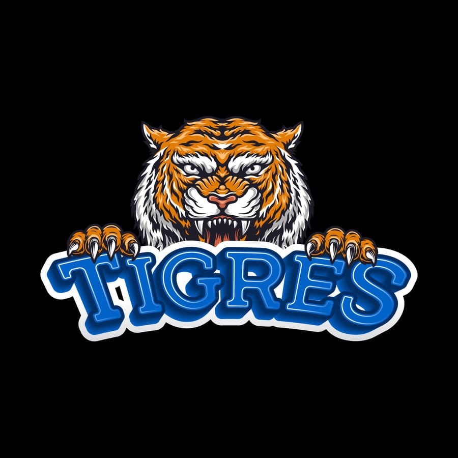Beisbol dominicano, equipo de pelota, Los Tigueres del Licey, Tigres, juego.