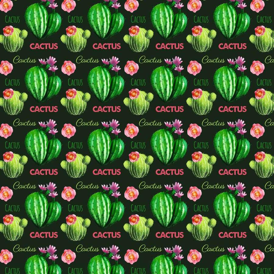 Cactus, plantas, flores, flor, espinas, especies.
