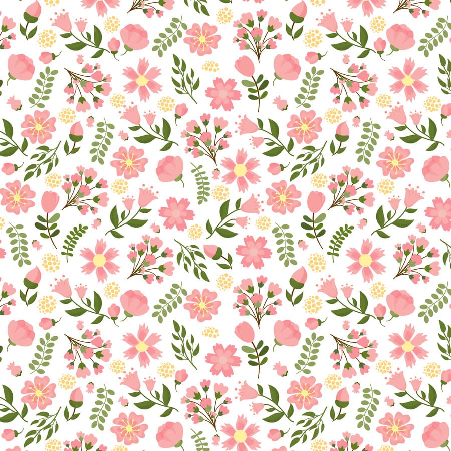 Flores rosa, plantas, hojas, pétalos, claveles, flor.