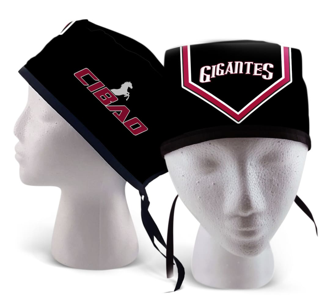Beisbol dominicano, Gigantes del Cibao, caballo, cultura, deporte, pelota, pasión.