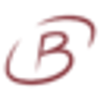 Burley Minerals Ltd Logo