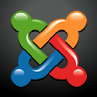 County International Ltd Logo