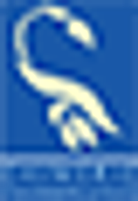 Chimeric Therapeutics Ltd Logo