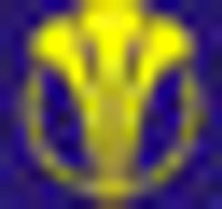 National Oxygen Ltd Logo