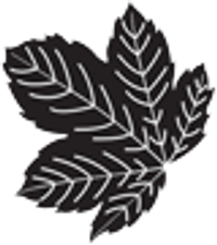Seasons Textiles Ltd Logo