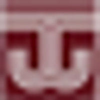 Winsome Textile Industries Ltd Logo