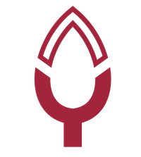 Yash Pakka Limited Logo