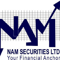 Nam Securities Ltd Logo