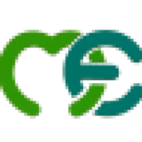 Maestros Electronics & Telecommunications Systems Ltd Logo