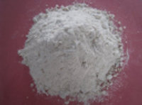 Raghav Productivity Enhancers Ltd Logo